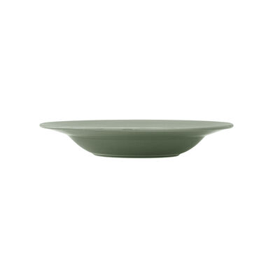 Concorde Fern Rim Soup Plate 24cm 31cl (9 1/2" 11oz)