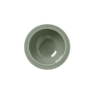 Concorde Fern Oatmeal Bowl 16.5cm 34cl (6 1/2Inch 12oz)