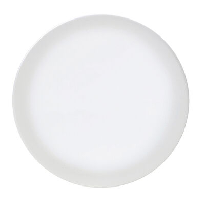 Frost Snipe Plate 31cm (12 1/4")