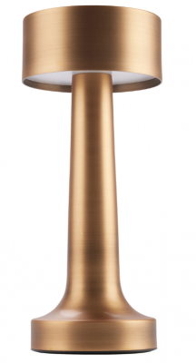 Geo' Bronze Table Lamp 21cm/8"