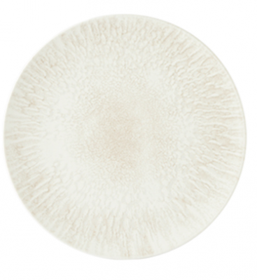 Tense Coupe Plate 24cm/9.5"