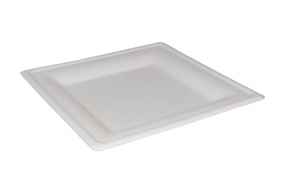 Bagasse Square Plate 6" x500