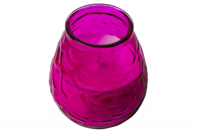 Low Boy/Twilight Fuchsia 70 Hour x12