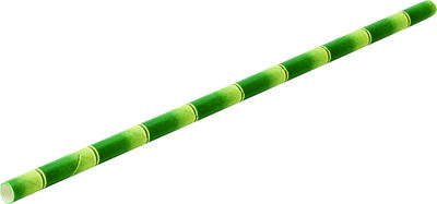 Paper Bamboo Straw 8Inch (20cm)