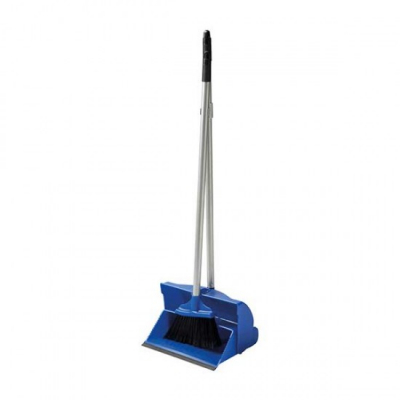 Blue Lobby Dustpan & Brush Set