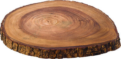 Darwin Board 11.75" (30cm)