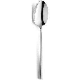 Colorado Dessert Spoon