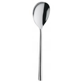Colorado Soup Spoon