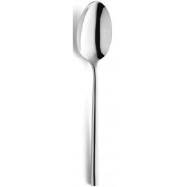 Colorado Serving Spoon