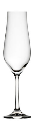 Tulipa Flute 7.75oz (22cl)