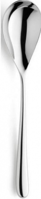 Newton Serving Spoon