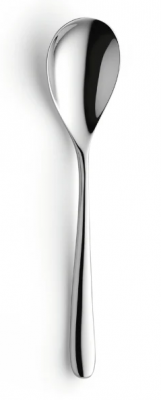 Newton Teaspoon