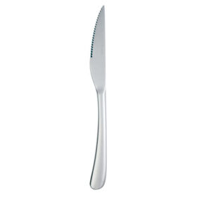 Elite Steak Knife 18/0 x12