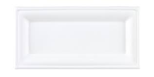 Bagasse Rectangular Plate 10x5" x500