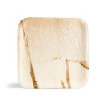 Palm Plate Square 10" x100