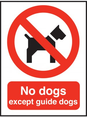 No Dogs Except Guide Dogs Sign