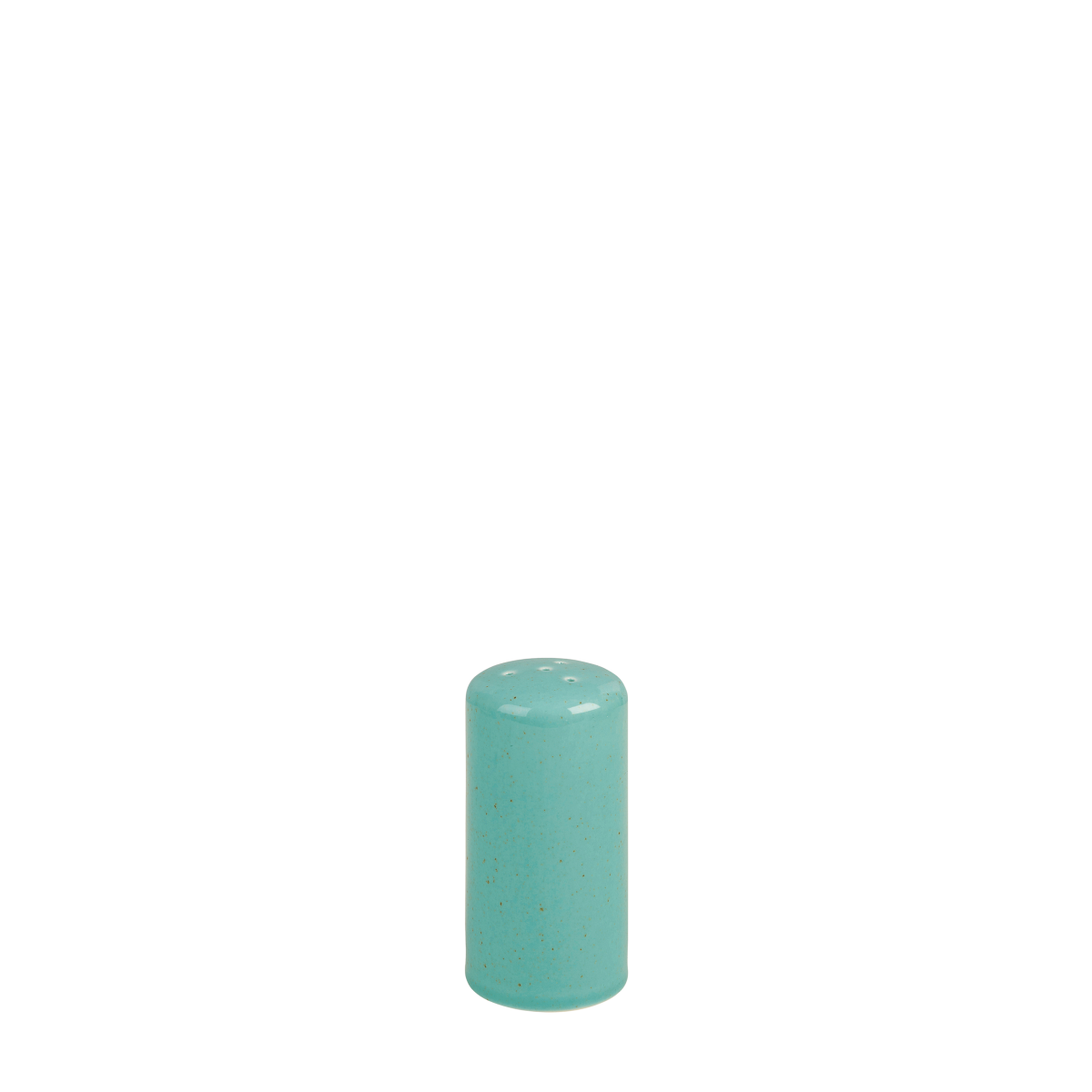 DPSCO30491SS